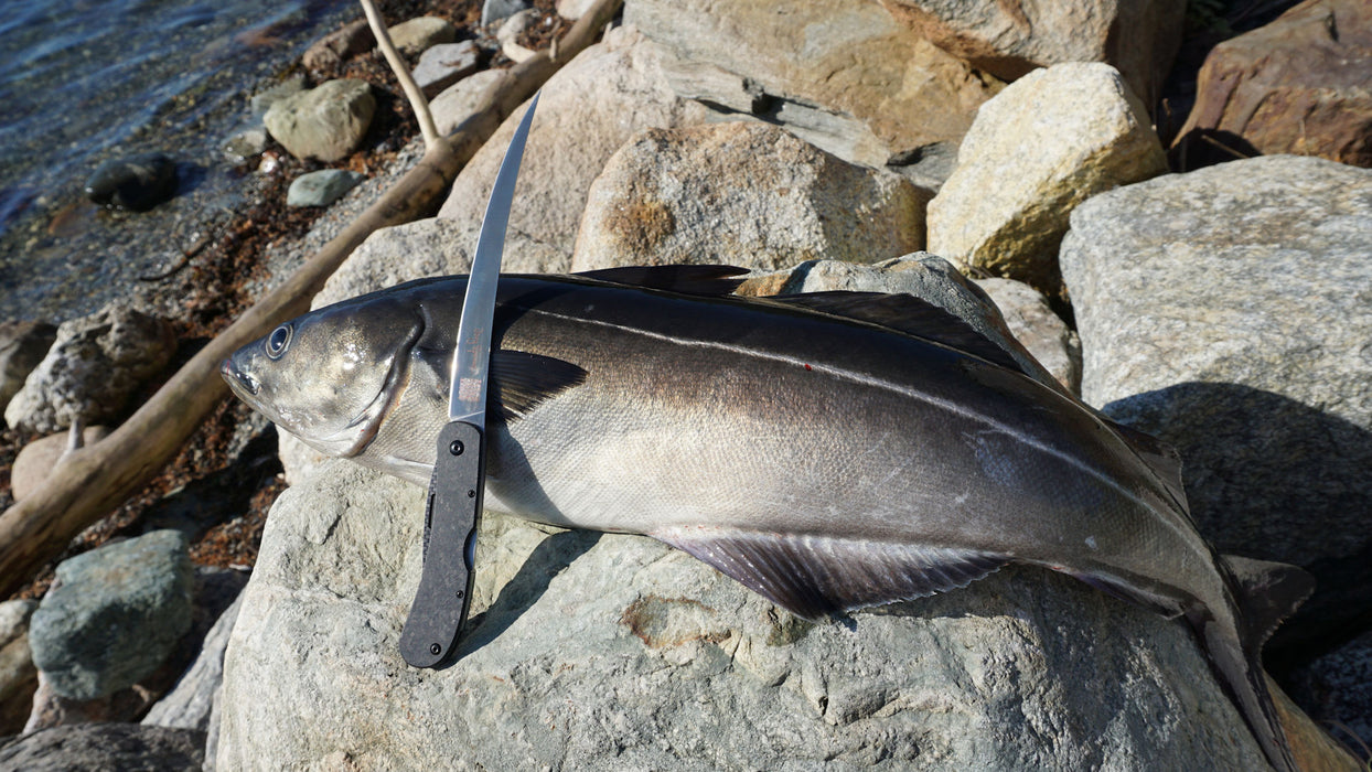 Jörg Sprave's ”Filetier” Folding Fillet Knife