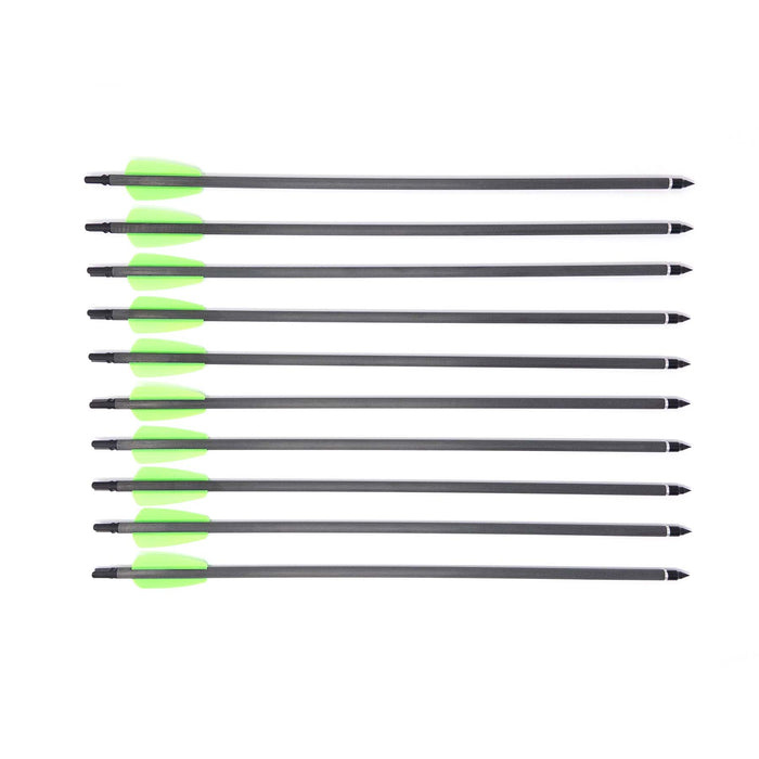 Arrows for Whipshot (10-pack)